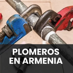 PLOMEROS ARMENIA