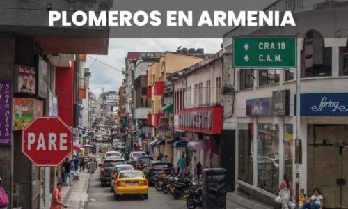 PLOMEROS ARMENIA