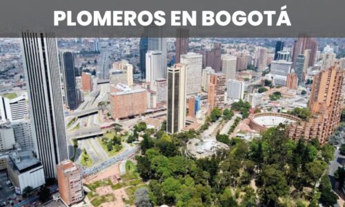 PLOMEROS BOGOTA