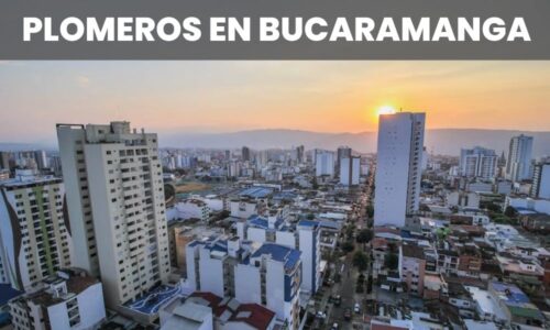 PLOMEROS BUCARAMANGA