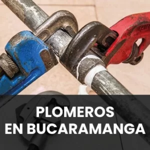 PLOMEROS BUCARAMANGA