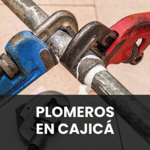 PLOMEROS CAJICA