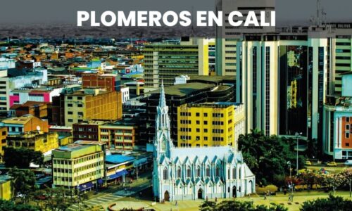 PLOMEROS CALI