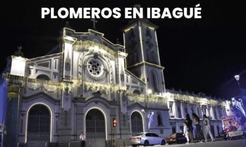 PLOMEROS IBAGUE