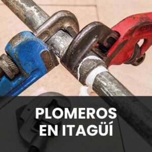 PLOMEROS ITAGUI