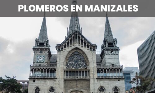 PLOMEROS MANIZALES