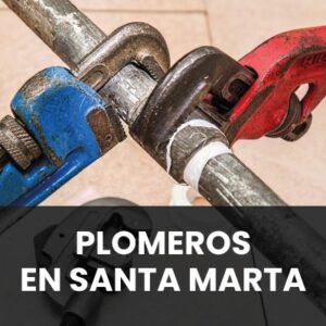 PLOMEROS SANTA MARTA