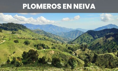 PLOMEROS NEIVA