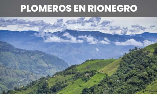 PLOMEROS RIONEGRO