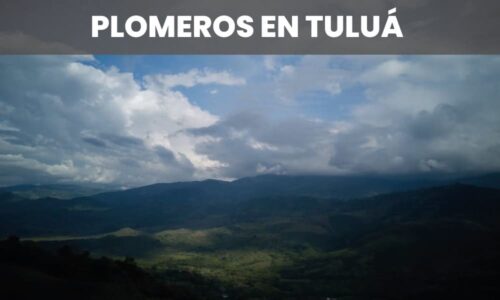 PLOMEROS TULUA