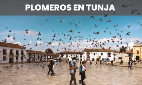 PLOMEROS TUNJA