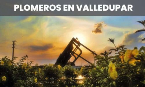 PLOMEROS VALLEDUPAR