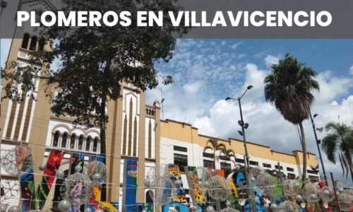 PLOMEROS VILLAVICENCIO