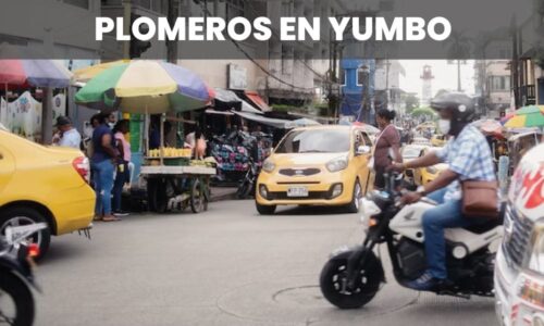 PLOMEROS YUMBO