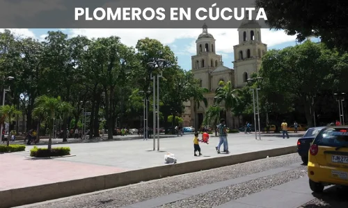 PLOMEROS CUCUTA