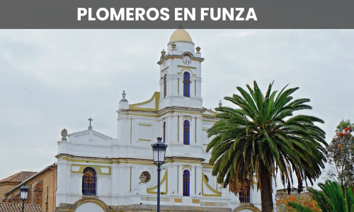 PLOMEROS EN FUNZA