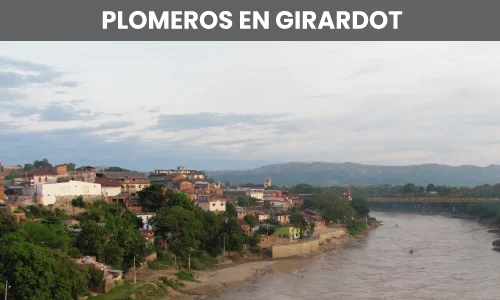 PLOMEROS EN GIRARDOT