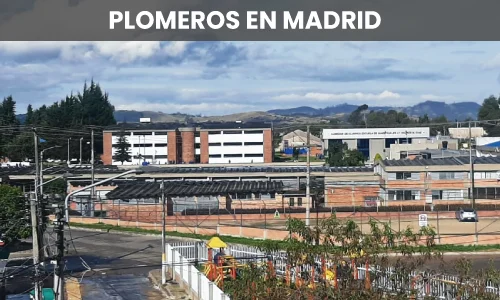 PLOMEROS EN MADRID CUNDINAMARCA